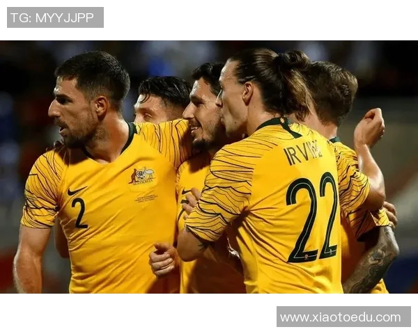 巴西世界杯精彩对决荷兰与澳大利亚的激烈较量回顾